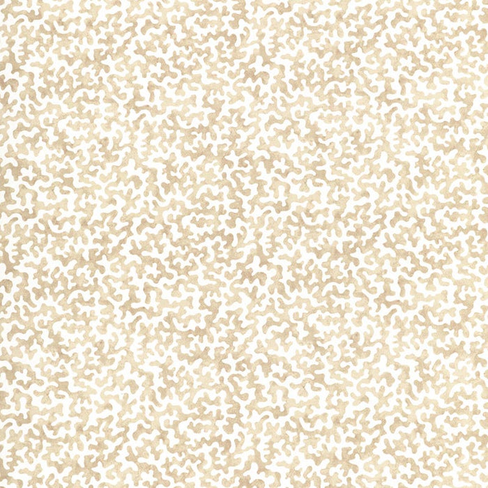 Kravet Basics Coralcoast Sand Fabric CORALCOAST.161.0