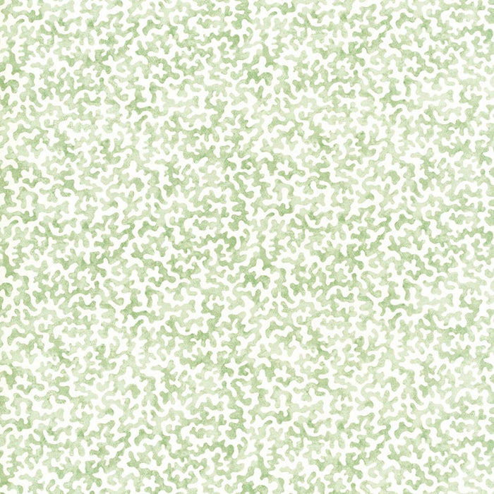 Kravet Basics Coralcoast Sage Fabric CORALCOAST.30.0