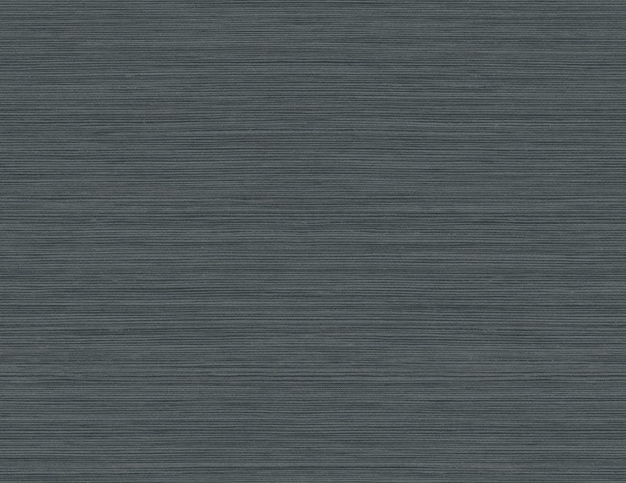 Seabrook Designs Lohja Rain Wallpaper Sample CP92108