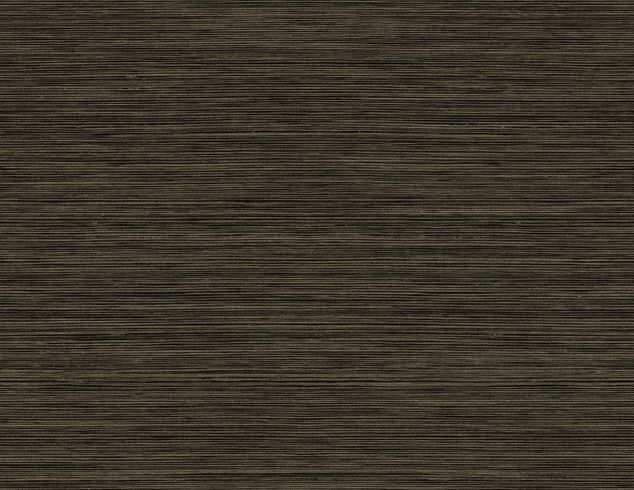 Seabrook Designs Rauma Onyx Wallpaper Sample CP92216