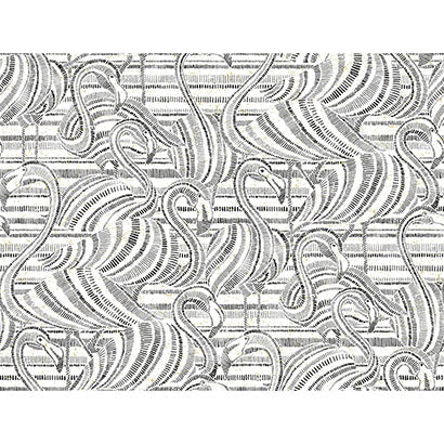 York Flamingo Flamboyance Black & White Wallpaper CY1501