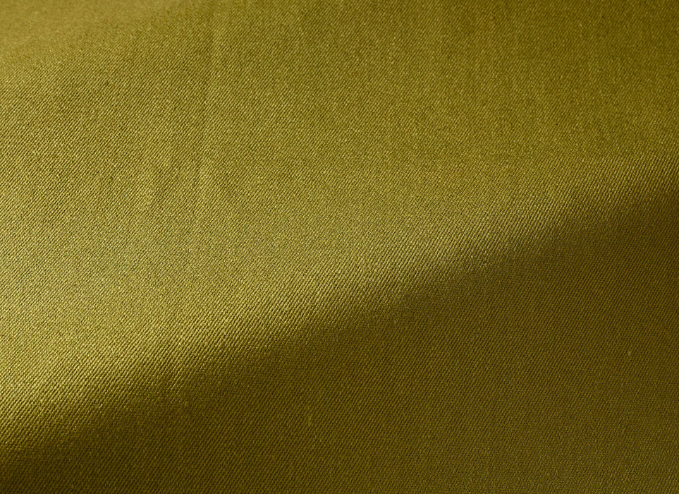 Pierre Frey Gordes Vert Bronze Fabric Sample F3443027