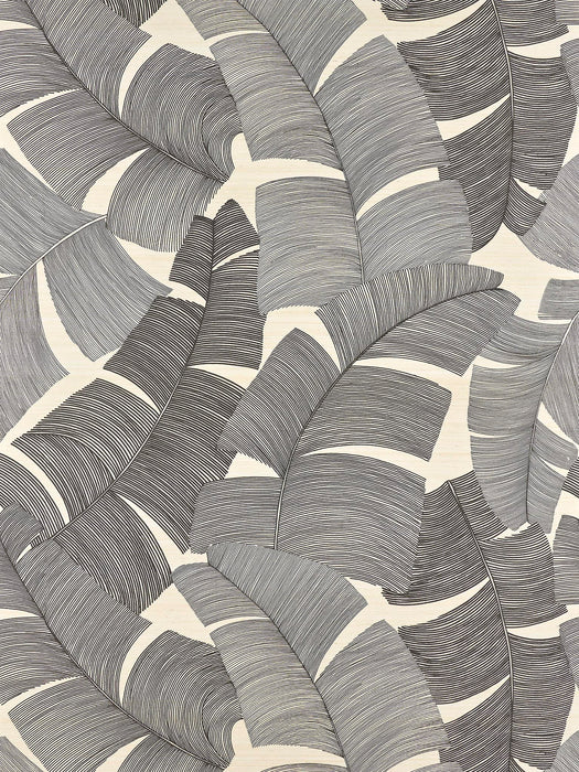 Pierre Frey Tikehau Noir Wallpaper Sample FP975004