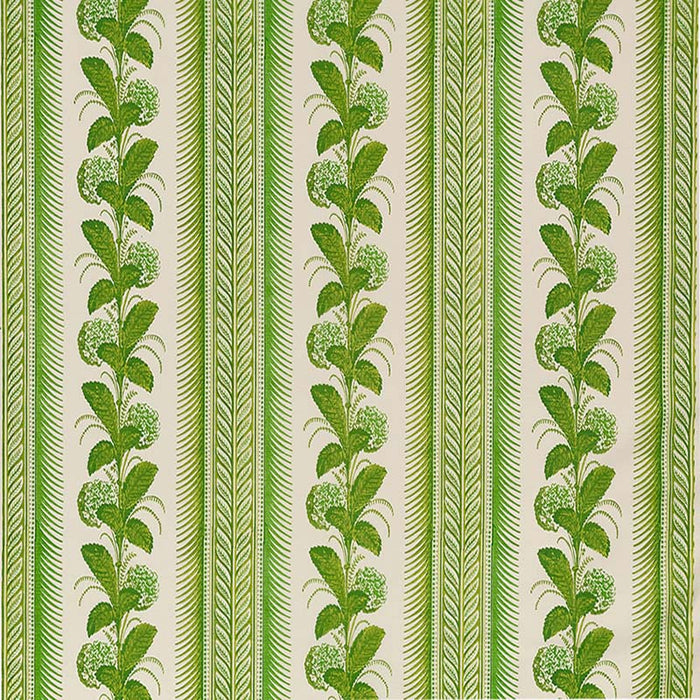 Quadrille Climbing Hydrangea Fabric Lime Fabric 303300F-05