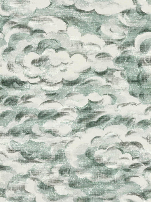 Pierre Frey Ciel Reve Celadon Wallpaper Sample FP846002