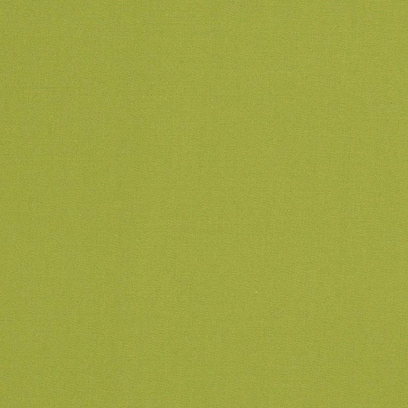 Charlotte Lime Fabric D3451