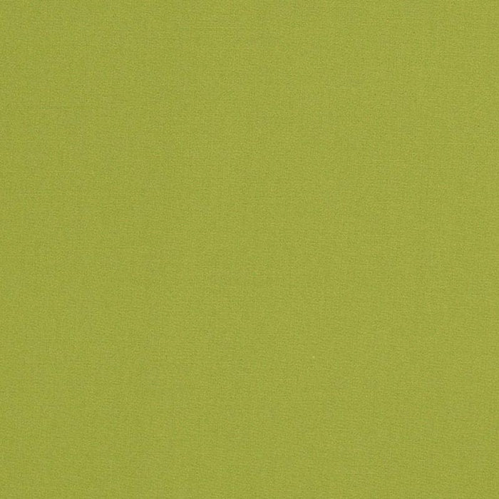 Charlotte Lime Fabric D3451