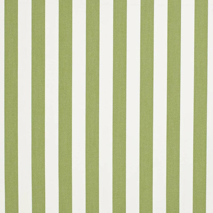 Charlotte Tiki Lime Fabric D3470