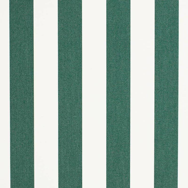 Charlotte Cabana Forest Fabric D3482