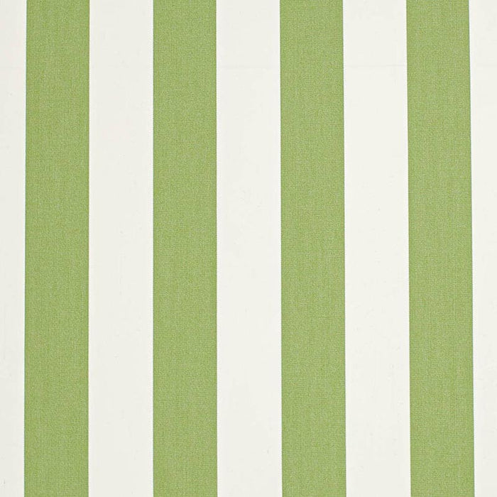 Charlotte Cabana Lime Fabric D3485