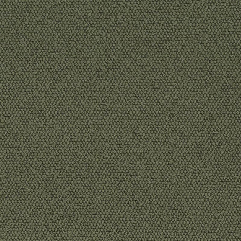 Charlotte Olive Fabric Sample D3628