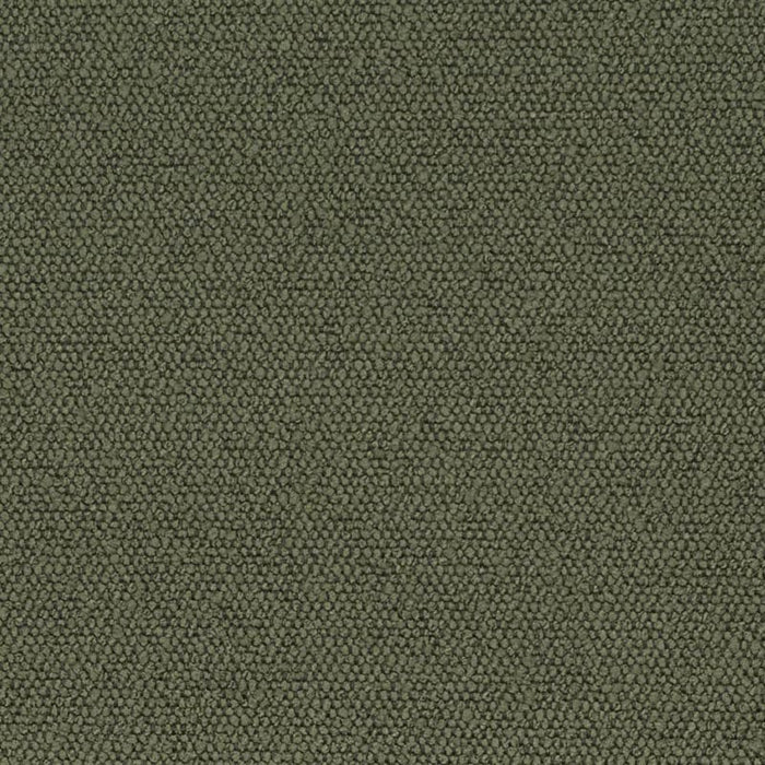 Charlotte Olive Fabric Sample D3628