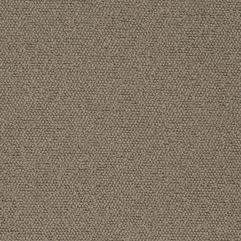 Charlotte Latte Fabric Sample D3634