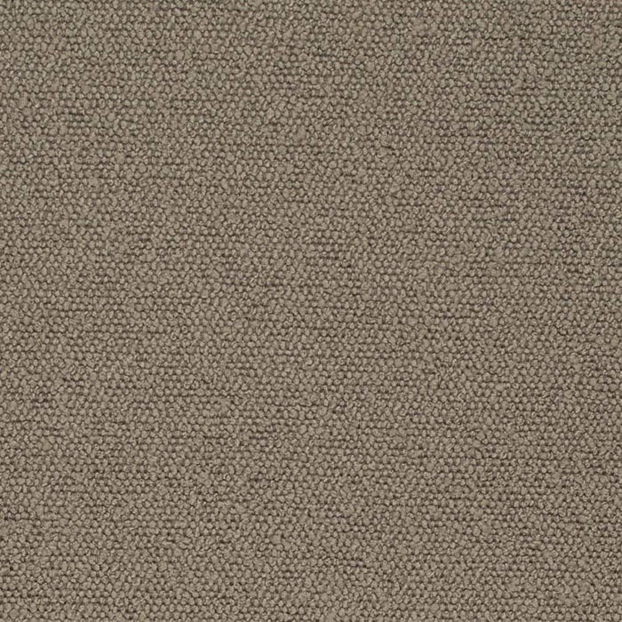 Charlotte Latte Fabric Sample D3634