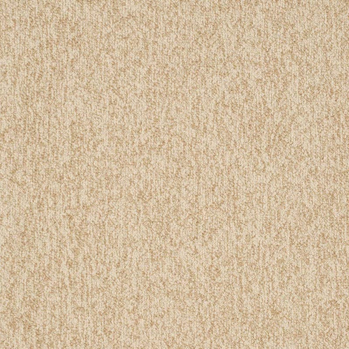 Charlotte Sand Fabric Sample D3653