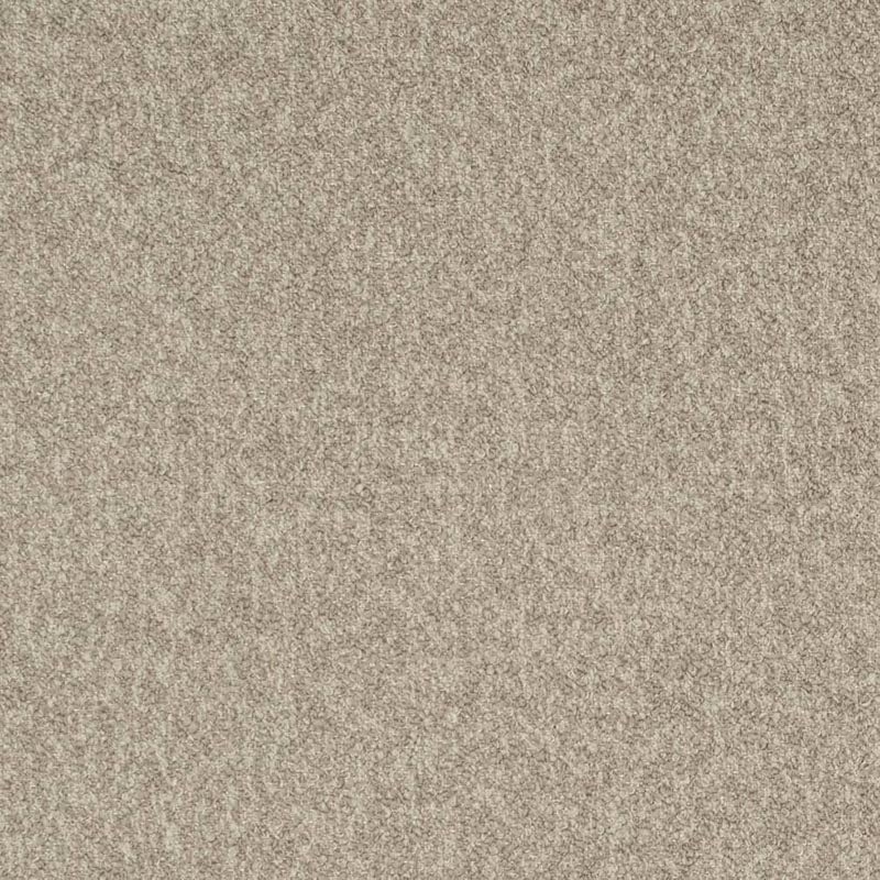 Charlotte Driftwood Fabric Sample D3655