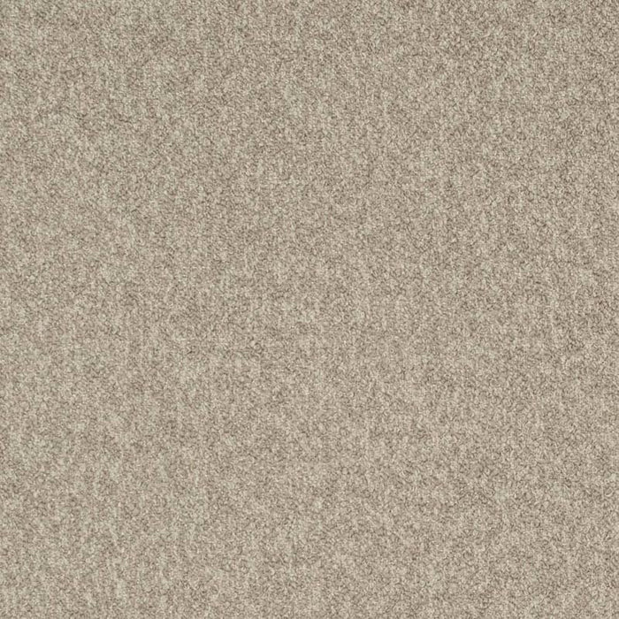 Charlotte Driftwood Fabric D3655