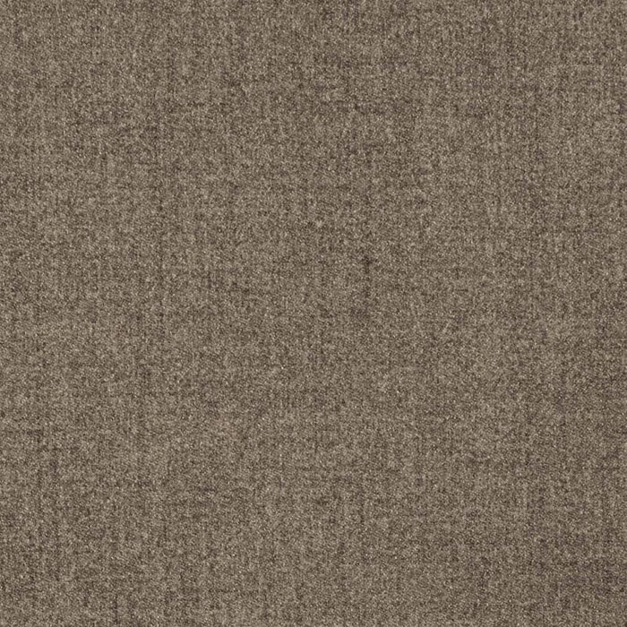 Charlotte Coffee Fabric Sample D3662