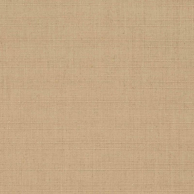 Charlotte Straw Fabric D3710