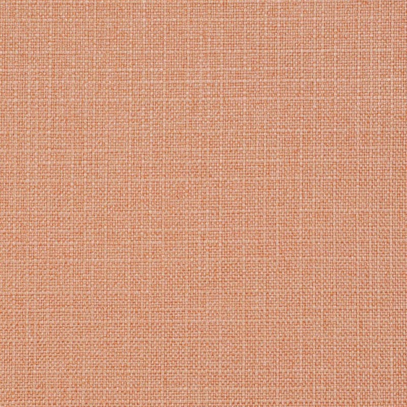 Charlotte Salmon Fabric Sample D3719