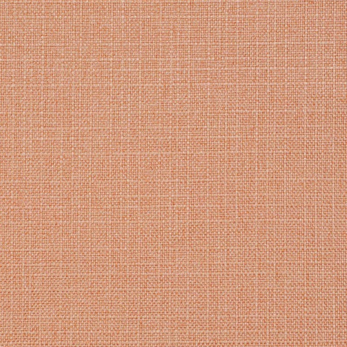 Charlotte Salmon Fabric Sample D3719