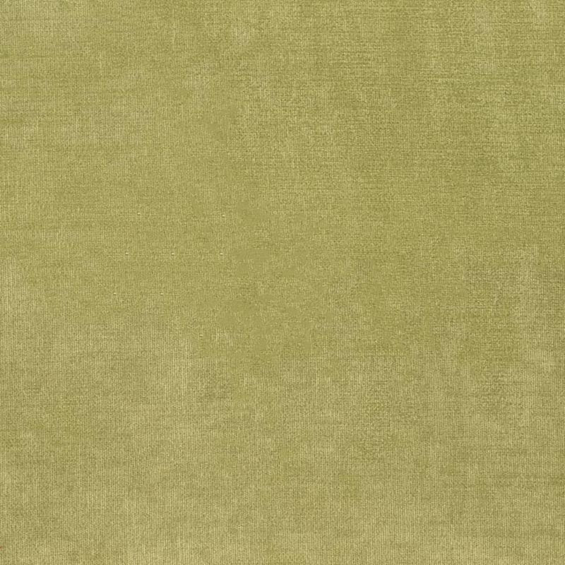 Charlotte Avocado Fabric D3816