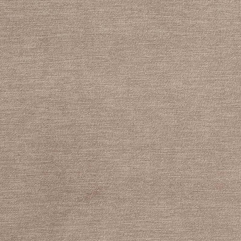 Charlotte Birch Fabric D3829