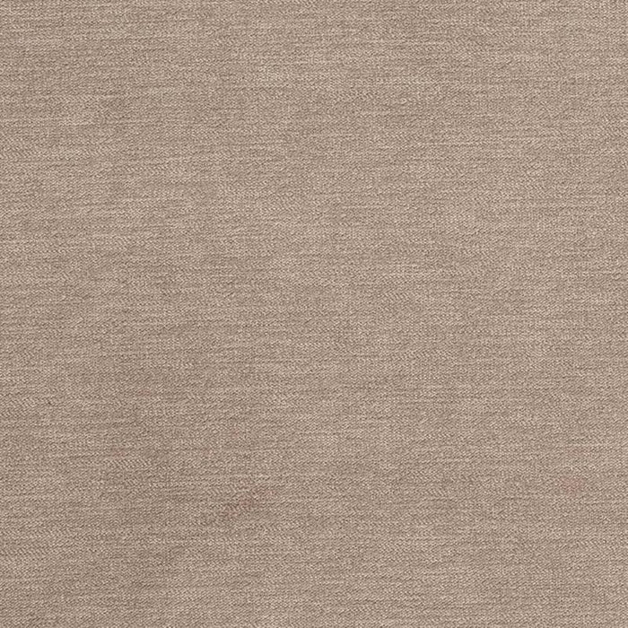 Charlotte Birch Fabric D3829