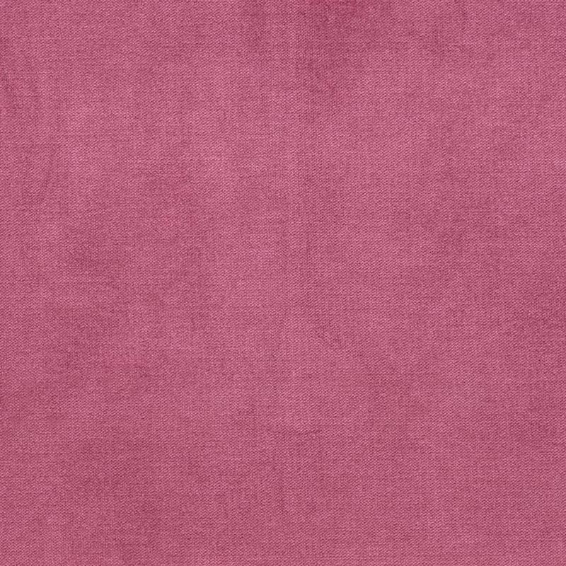 Charlotte Fuchsia Fabric D3849