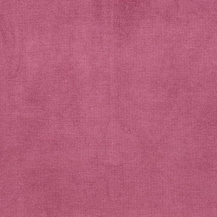 Charlotte Fuchsia Fabric Sample D3849