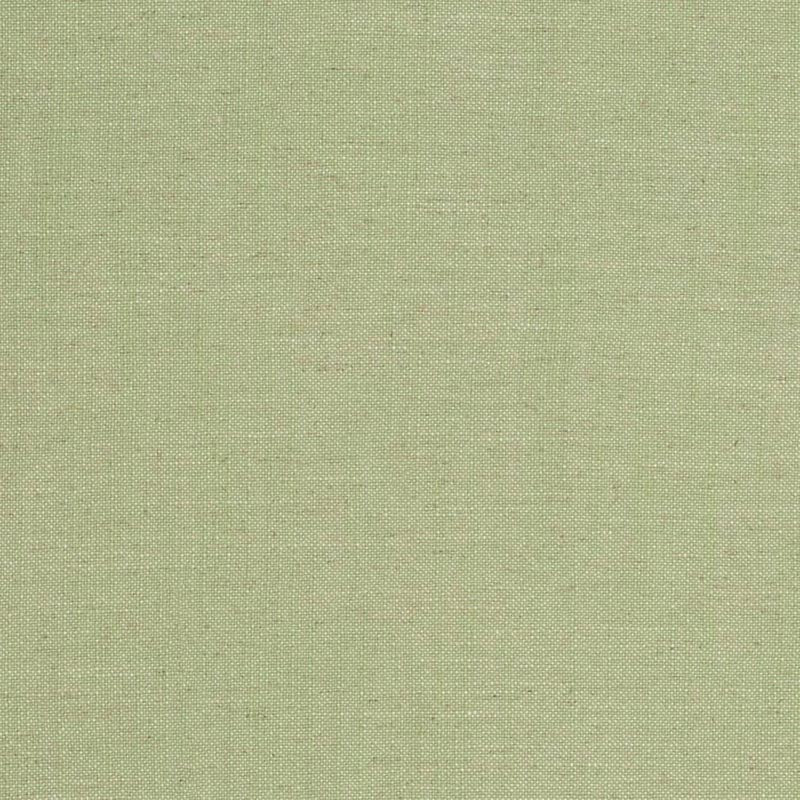 Charlotte Lime Fabric D3951