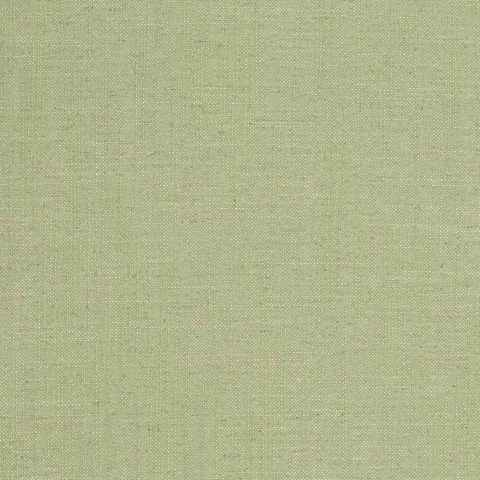 Charlotte Lime Fabric D3951