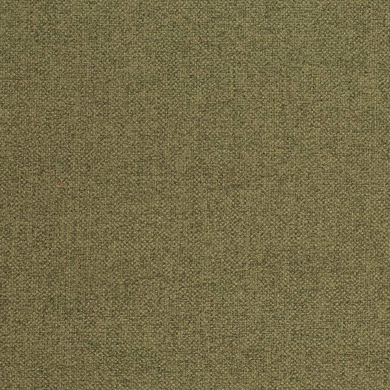 Charlotte Fern Fabric D4005