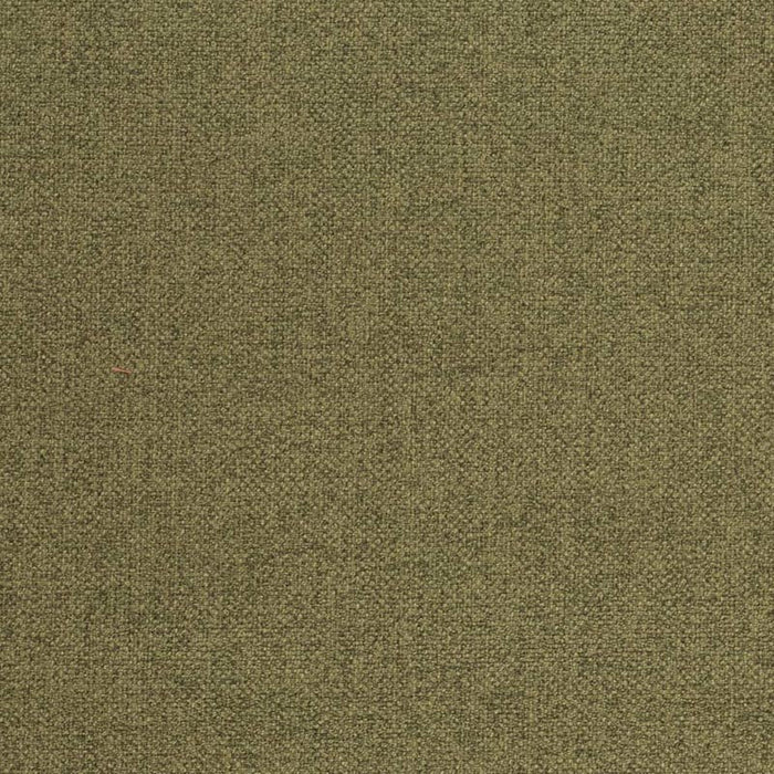 Charlotte Fern Fabric D4005