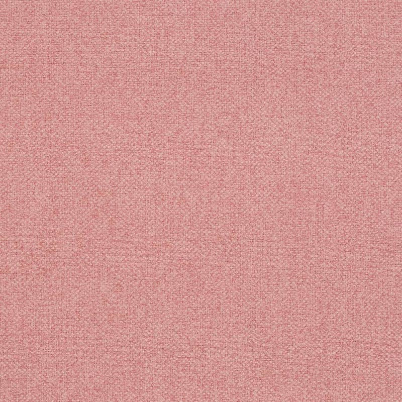 Charlotte Salmon Fabric Sample D4010