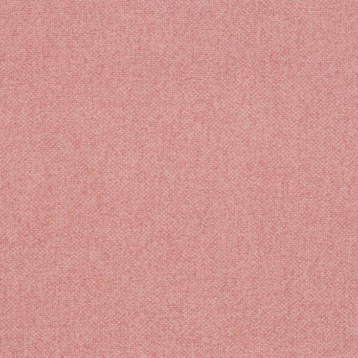 Charlotte Salmon Fabric Sample D4010