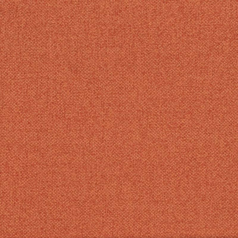 Charlotte Carrot Fabric D4016