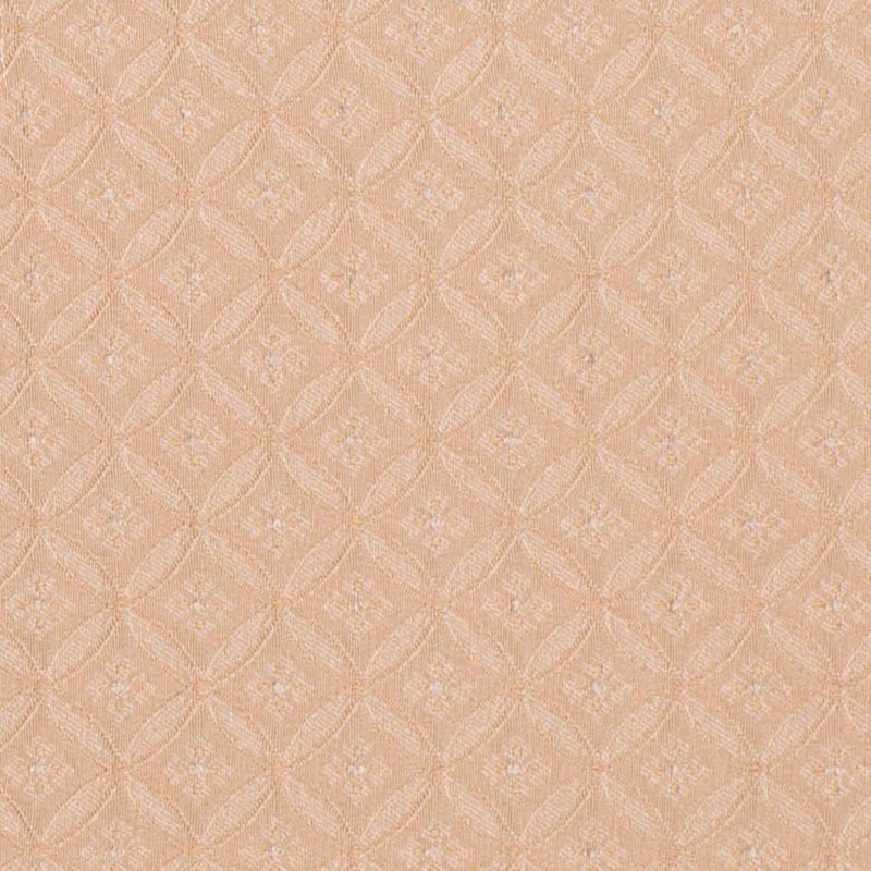 Charlotte Honey Bria Fabric D4081