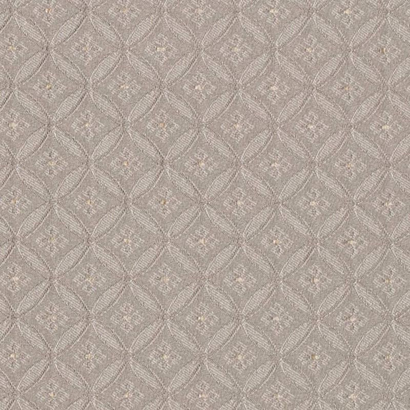 Charlotte Sage Bria Fabric Sample D4087