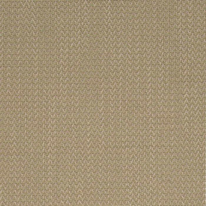 Charlotte Fern Fabric Sample D4169