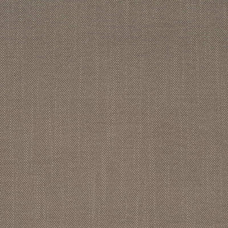 Charlotte Pumice Fabric D4257