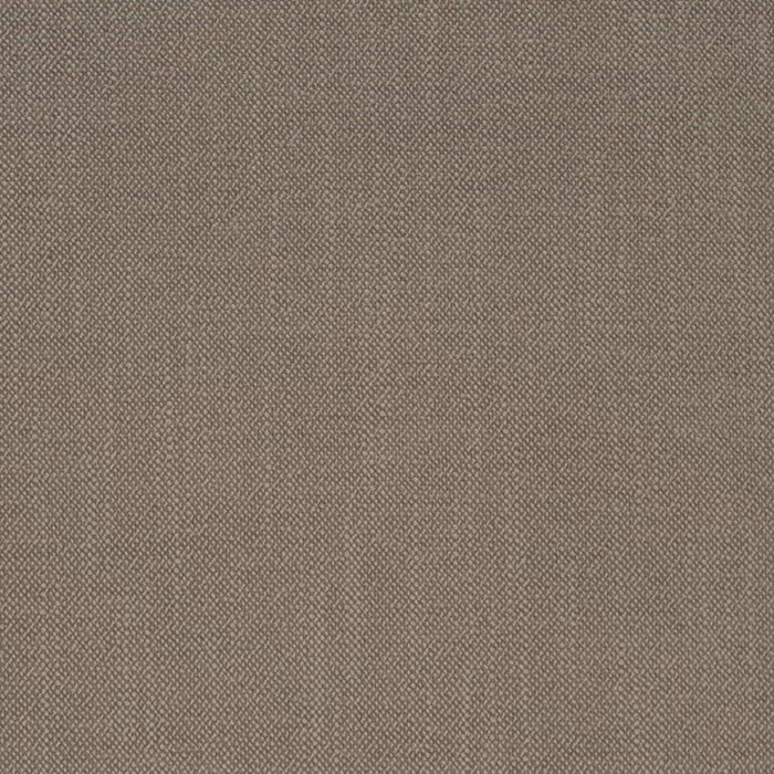 Charlotte Pumice Fabric D4257