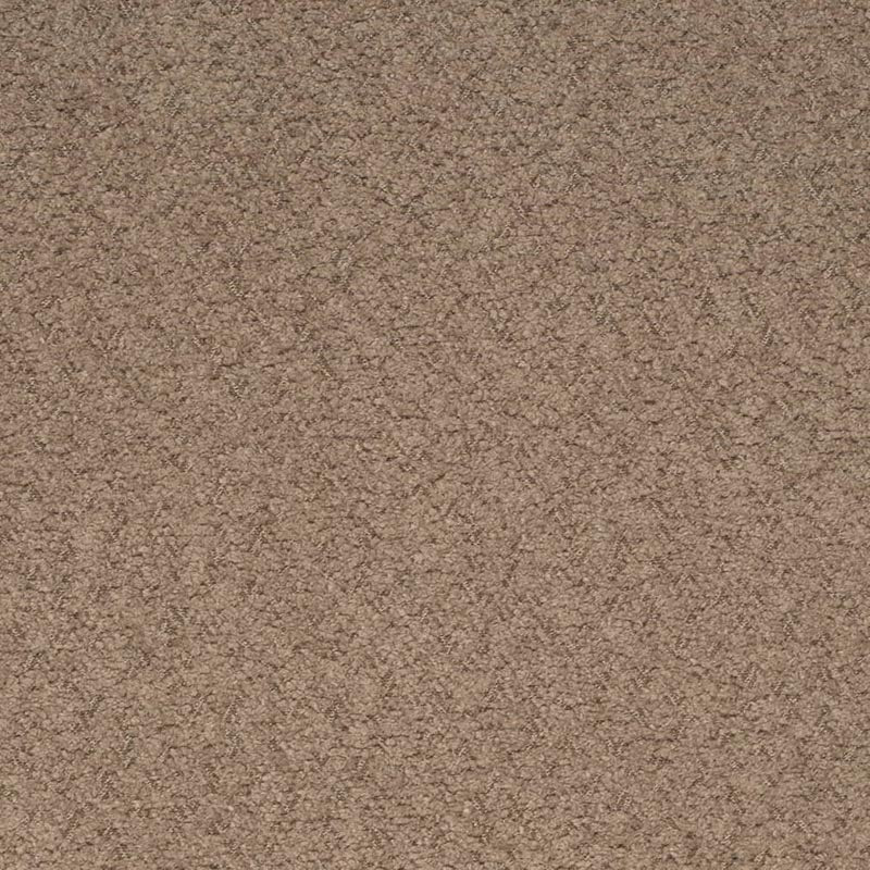 Charlotte Hazelnut Fabric Sample D4280