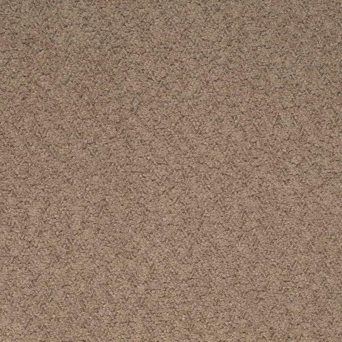 Charlotte Hazelnut Fabric Sample D4280