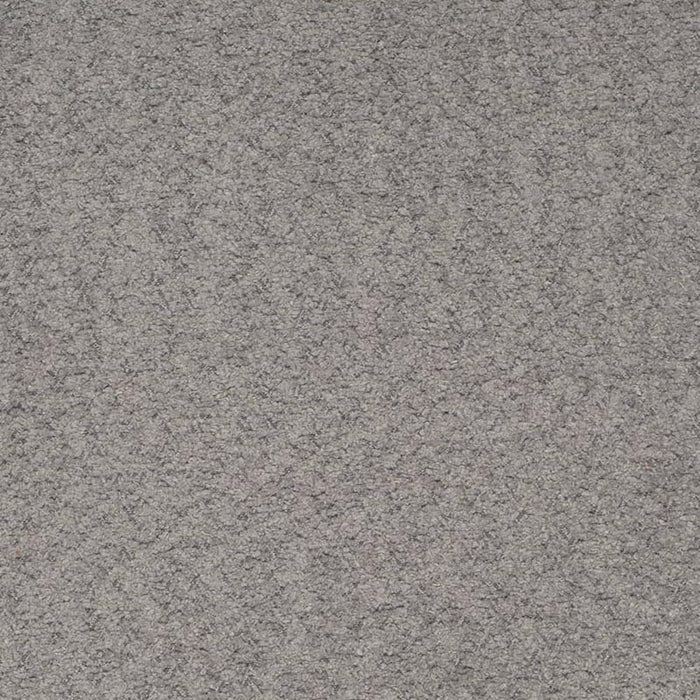 Charlotte Silver Fabric Sample D4284