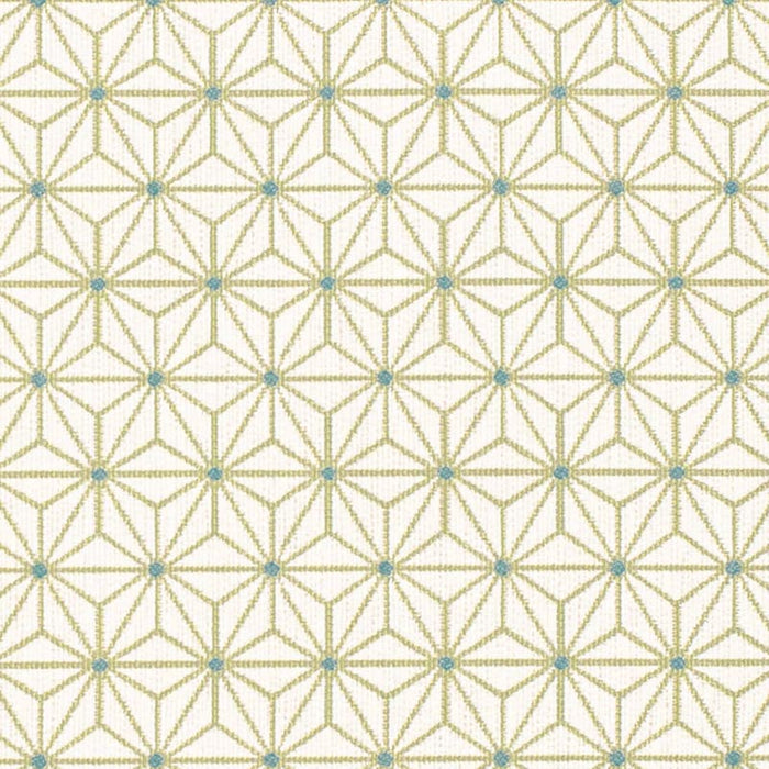 Charlotte Spring Fabric D4315