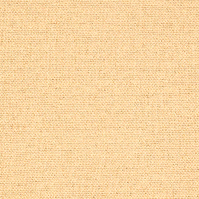 Charlotte Khaki Fabric Sample D4461