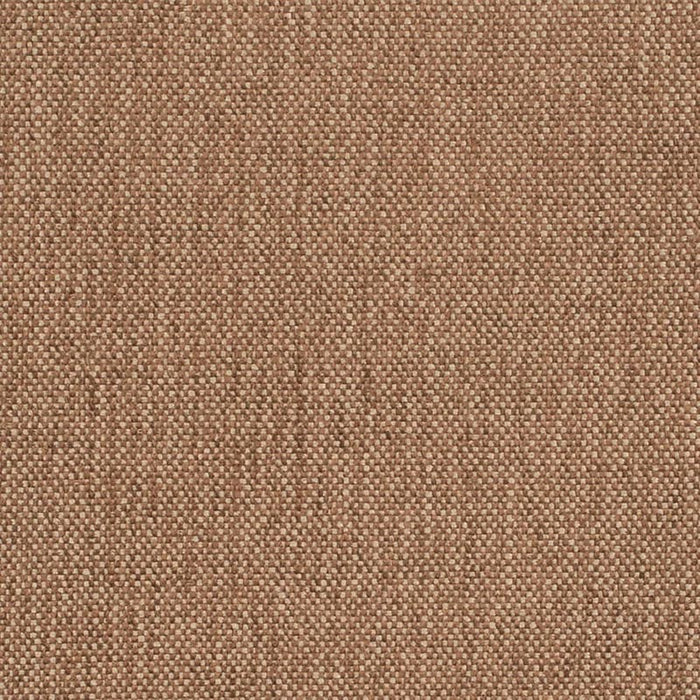 Charlotte Espresso Fabric Sample D4467