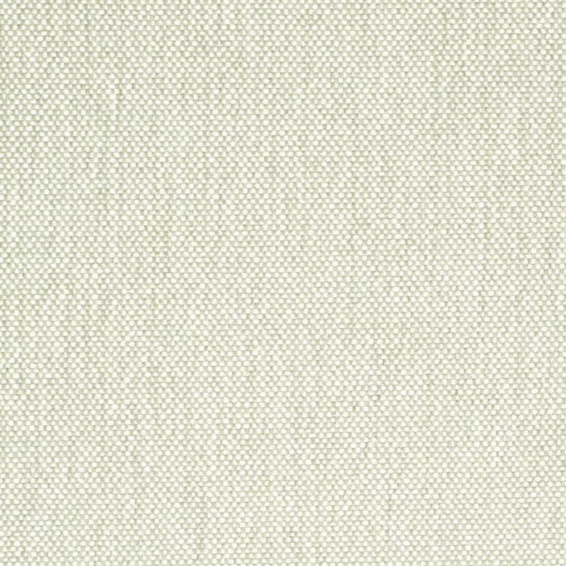 Charlotte Celadon Fabric D4476