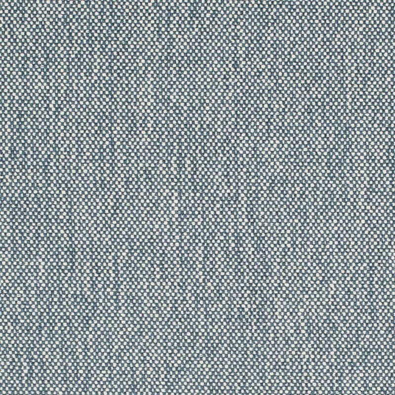 Charlotte Denim Fabric D4483